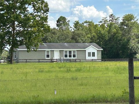 Photo of 8083 SW 126 Avenue, Lake Butler, FL 32054 (MLS # GC532991)