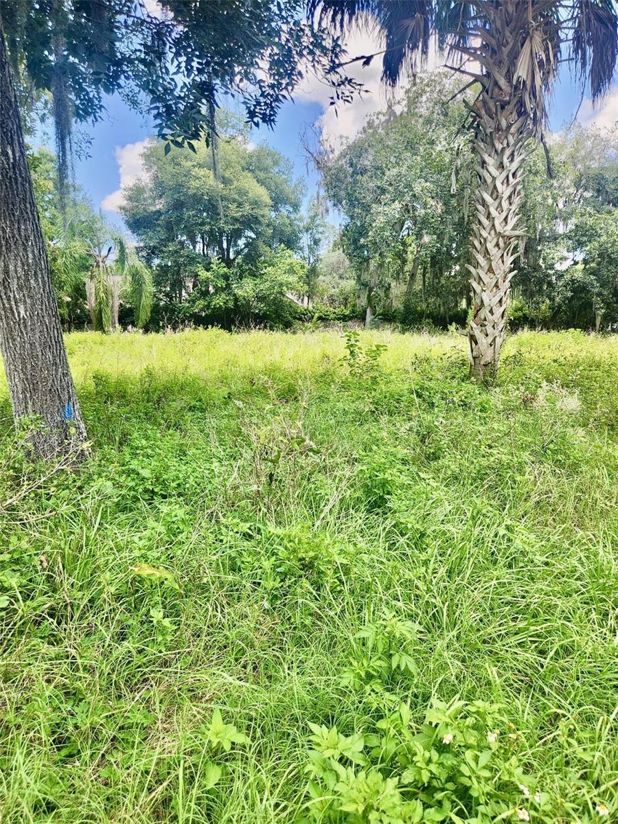 CORNISH ESTATES - Land