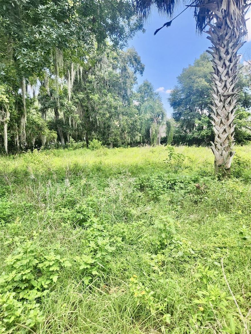 This property has the 3 C’s for Corner, Clear, and Cul-de-sac in Hernando, Florida! Impact Fees have been Paid! Well and Septic exists, SECO Energy. Come and build your home or keep it as an investment. Plenty of room for a Pool. NO FLOOD ZONE, NO HOA, NO CDD!!! This lot is approximately Half an Acre (21,263 SF) and Surrounded by a variety of amenities which include: restaurants, shopping, doctors, hospitals, schools, lakes, parks, and the renowned 47-mile paved Withlacoochee Bike Trail. For the commuters, the Suncoast Parkway in Crystal River is just a 20-minute drive. Located close to Tampa. Highway 75, the Turnpike to Orlando, and nearby Ocala. Financing is available for qualified buyers.