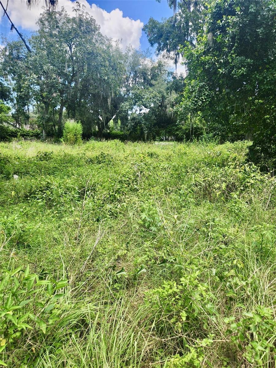 CORNISH ESTATES - Land