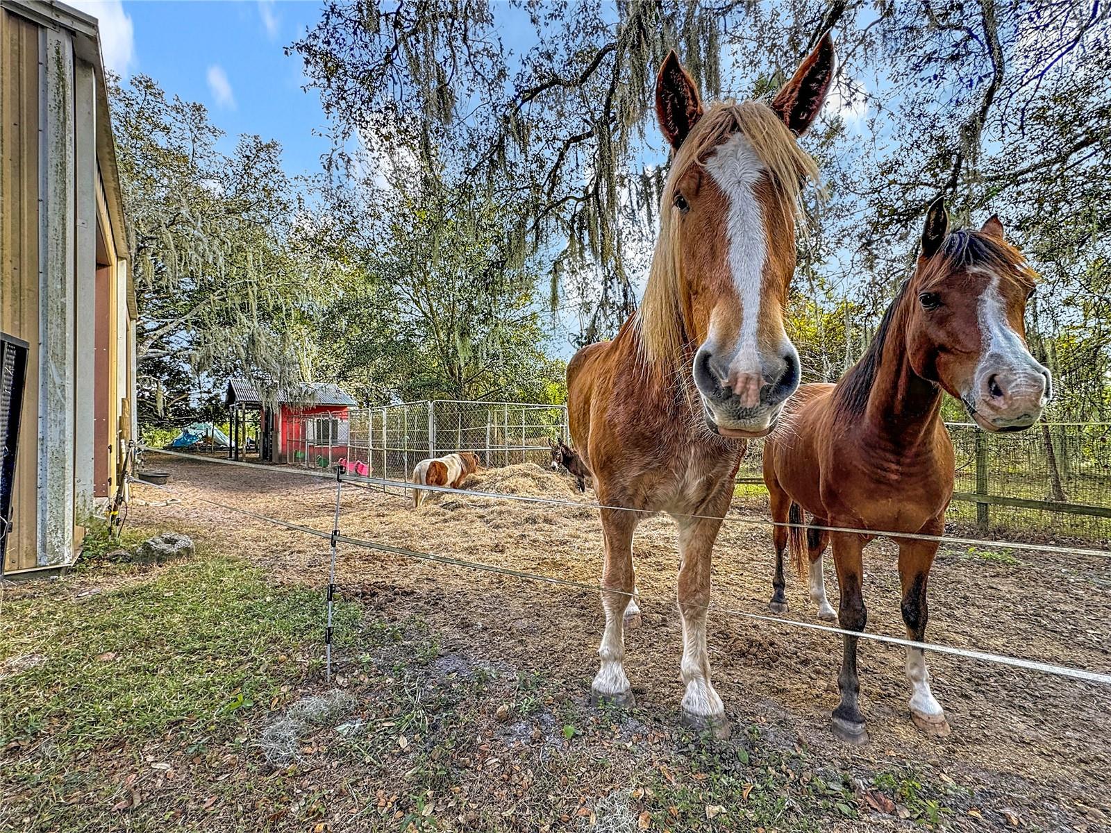 S L & I C - Residential