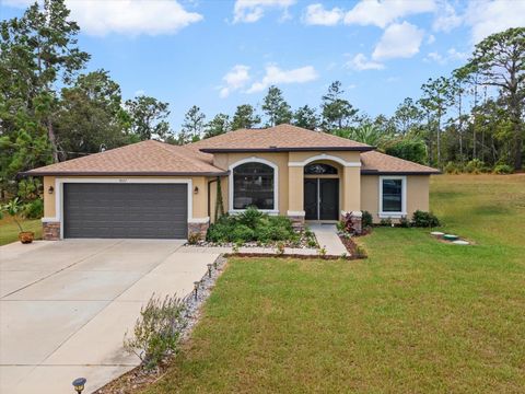 Photo of 9027 Mavis Road, Weeki Wachee, FL 34613 (MLS # W7879754)