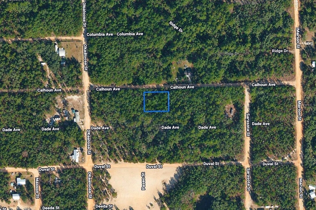 Photo of 313 Calhoun Avenue, Florahome, FL 32140 (MLS # K4903883)