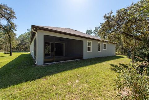 A home in HOMOSASSA