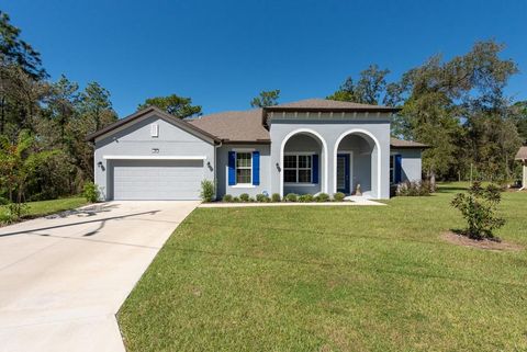 A home in HOMOSASSA