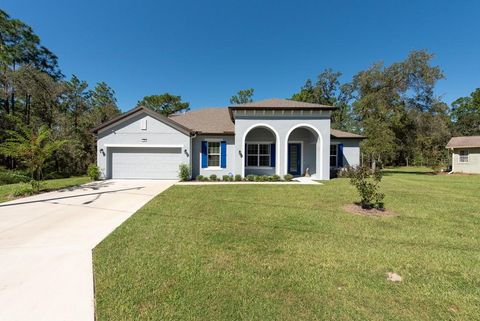 A home in HOMOSASSA