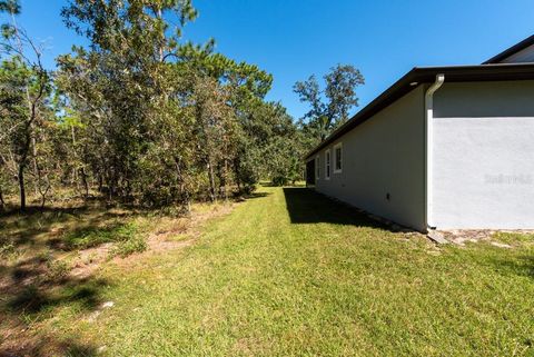 A home in HOMOSASSA