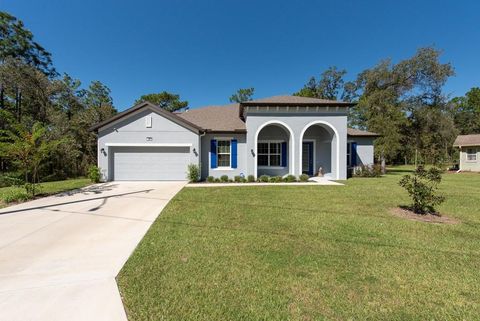 A home in HOMOSASSA