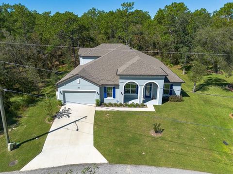 A home in HOMOSASSA