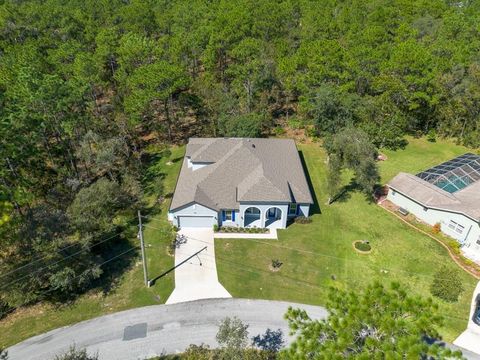 A home in HOMOSASSA