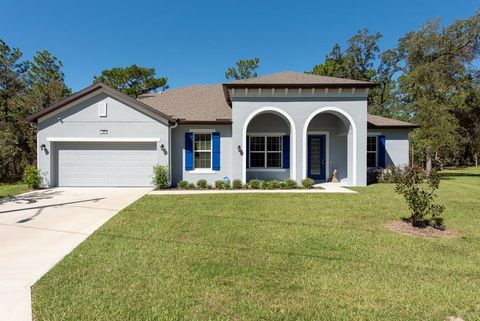 A home in HOMOSASSA