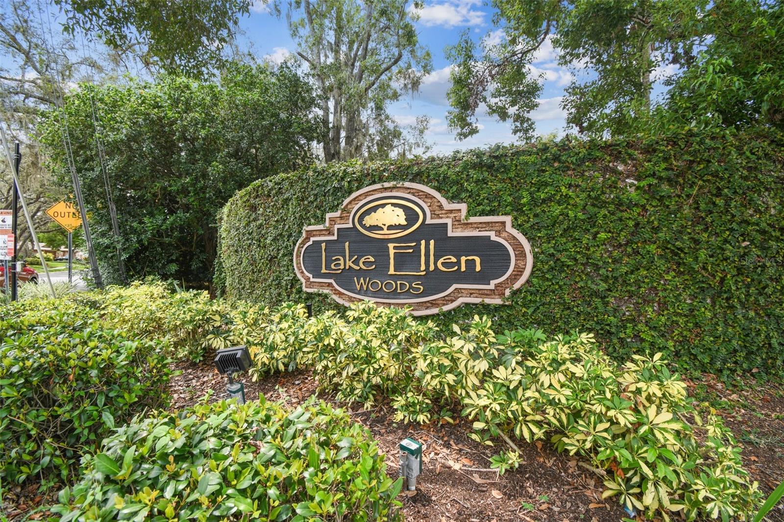 LAKE ELLEN - Residential