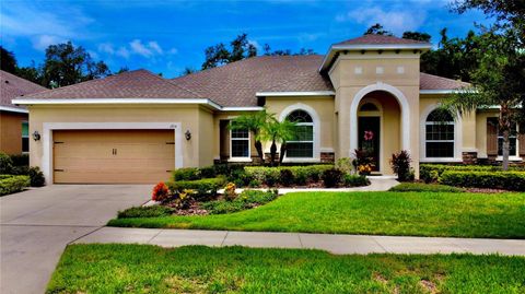 A home in BRANDON