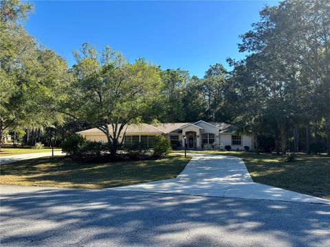 A home in DUNNELLON