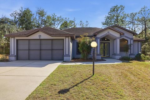 Photo of 1724 E Mckinley Street, Hernando, FL 34442 (MLS # TB8469705)