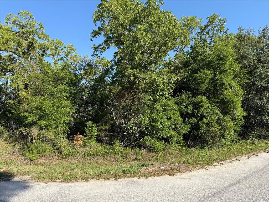 Photo of Tbd SE 154th Street, Summerfield, FL 34491 (MLS # OM703085)