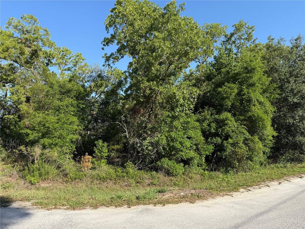 Photo of Tbd SE 154th Street, Summerfield, FL 34491 (MLS # OM703085)