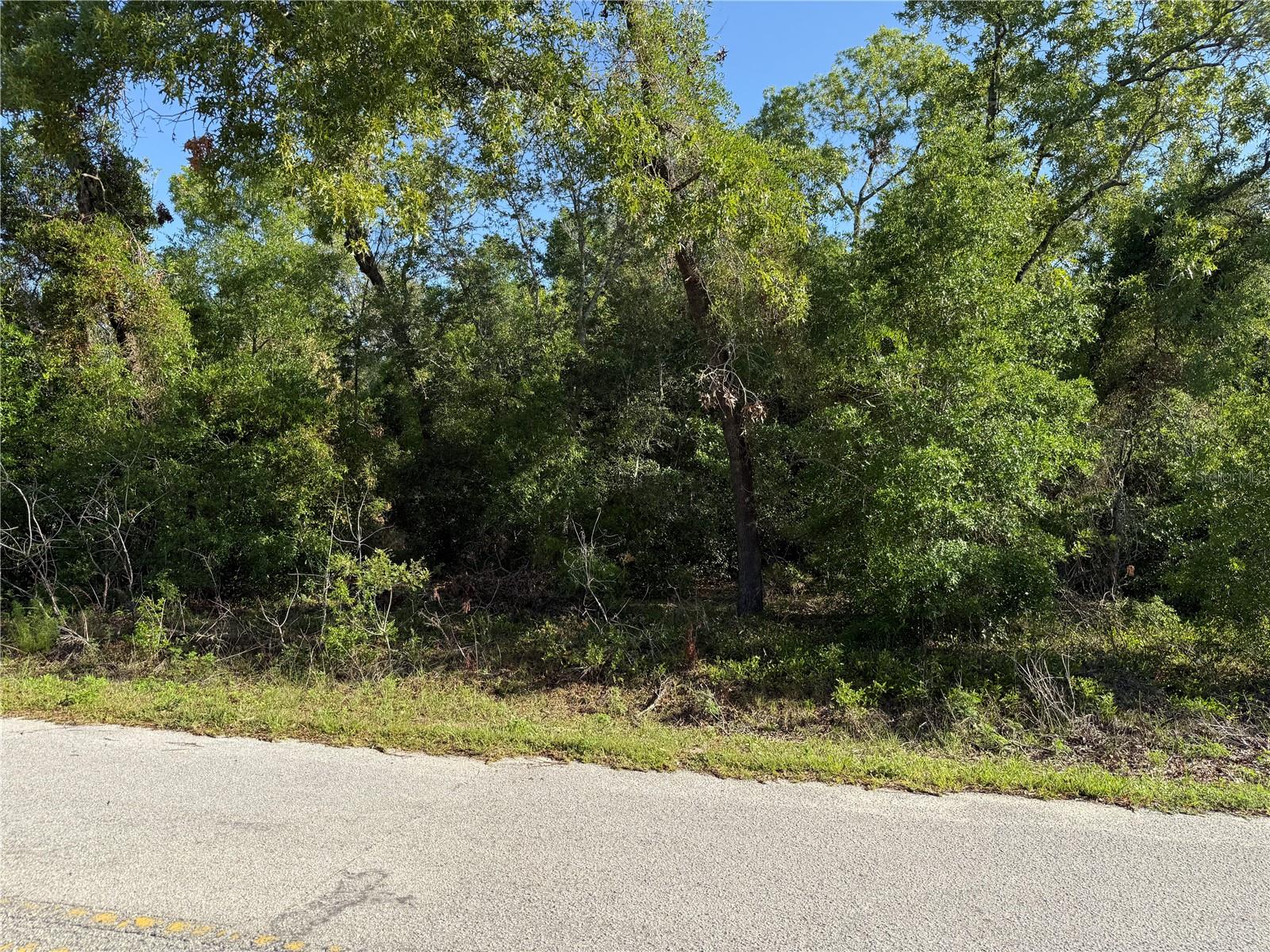 UN 12 ORANGE BLOSSOM HILLS UN - Land