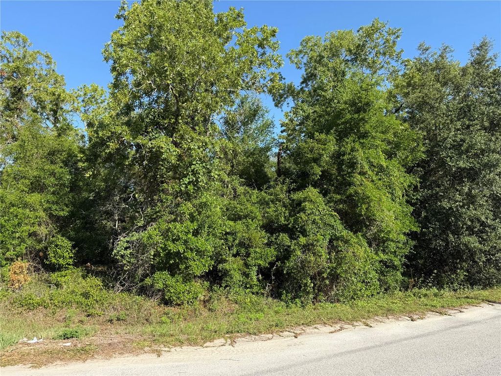 Photo of Tbd SE 154th Street, Summerfield, FL 34491 (MLS # OM703085)