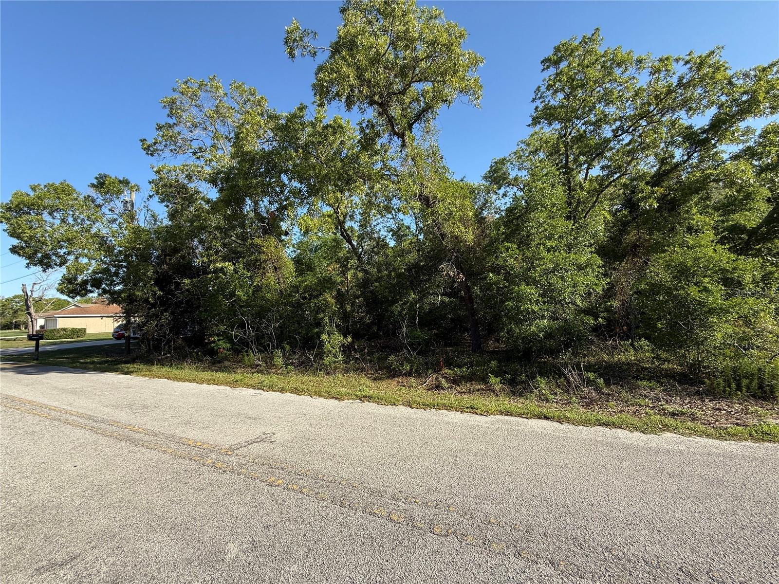 UN 12 ORANGE BLOSSOM HILLS UN - Land