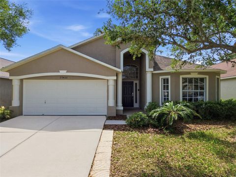 Photo of 29430 Sea Dahlia Pass, Wesley Chapel, FL 33543 (MLS # TB8495018)