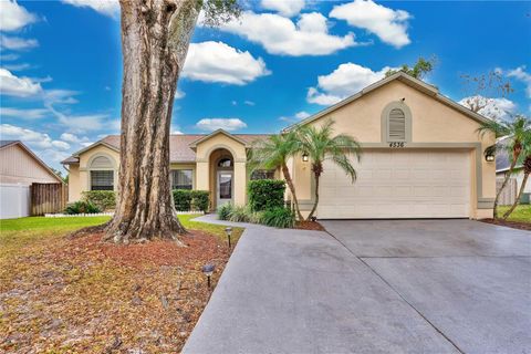 A home in ORLANDO