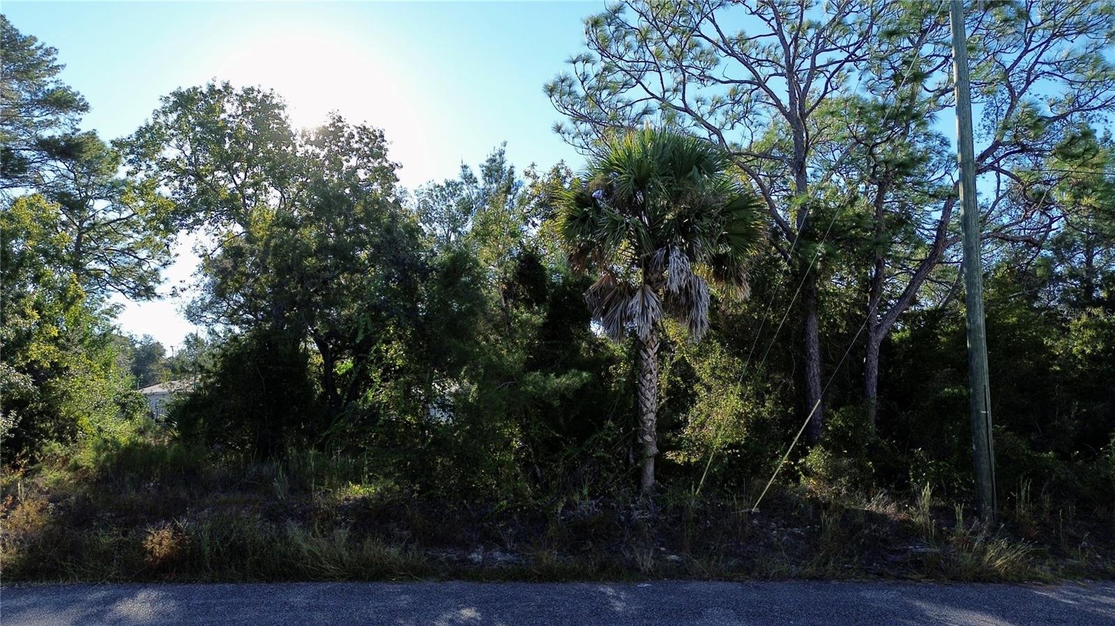 WEEKI WACHEE ACRES ADD - Land