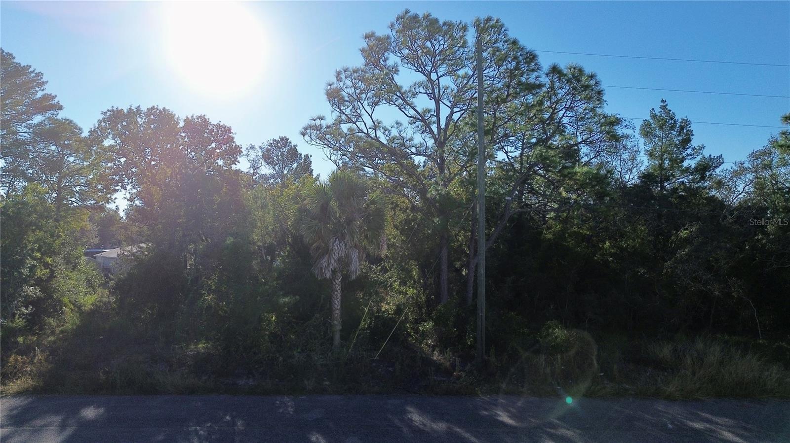 WEEKI WACHEE ACRES ADD - Land