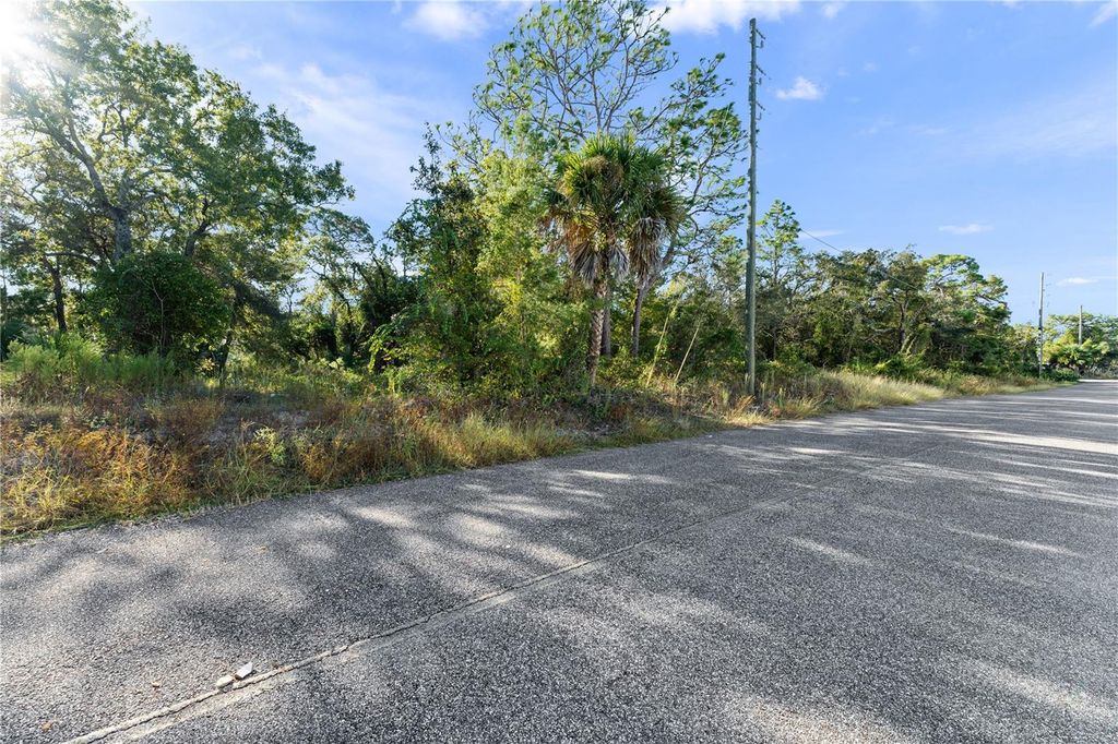 Photo of 3560 Diagonal Lane, Spring Hill, FL 34606 (MLS # TB8437987)