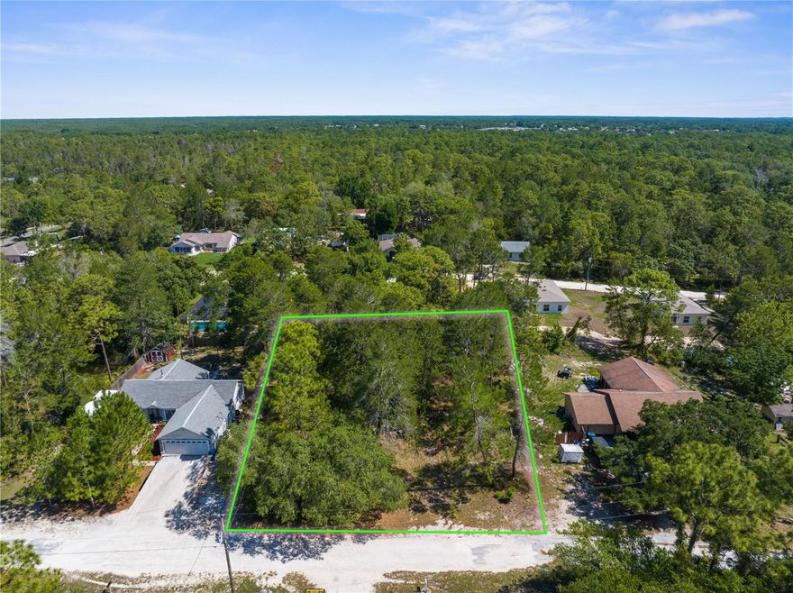 Build your dream home on this 1/3-acre lot. There is NO HOA, NO CDD and NO FLOOD zone. This lot is on the high side of the road, so you are on the top of the hill!!! Prime location with Weeki Wachee Springs State Park just minutes down the road. Check out the famous mermaid show, take a swim in the freshwater spring and enjoy the water slides. You can take a short drive to Pine Island to watch the sunset or have breakfast, lunch or dinner in Hernando Beach with so many restaurants to choose from. You're a short distance from shopping centers and grocery stores. Don't miss your opportunity to build in a prime location!!