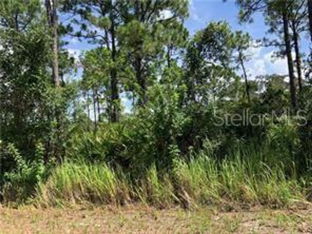 Photo of 1127 Lake Groves Road NW, Lake Placid, FL 33852 (MLS # OM674049)