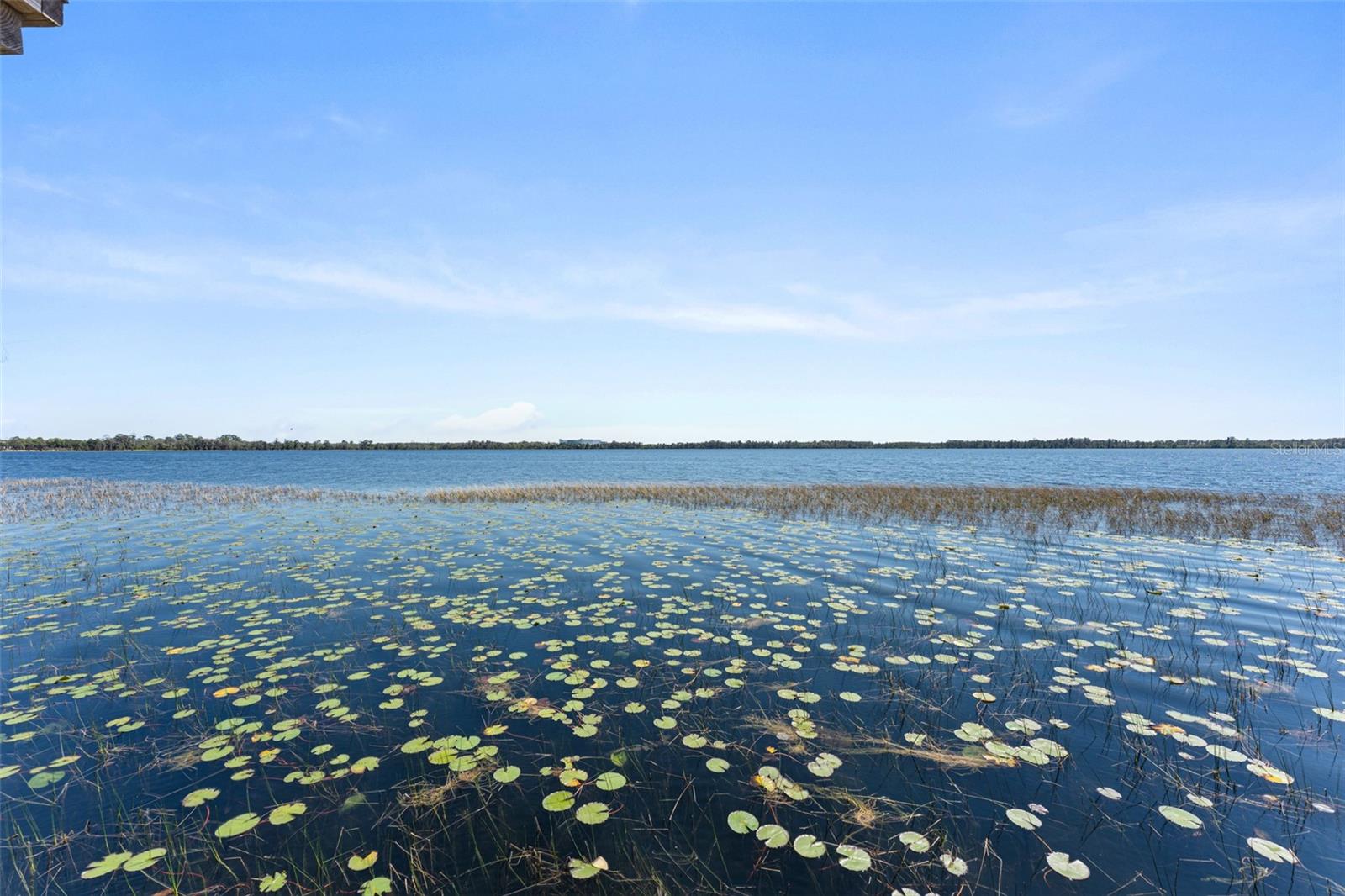 LAKE NONA ESTATES - Residential