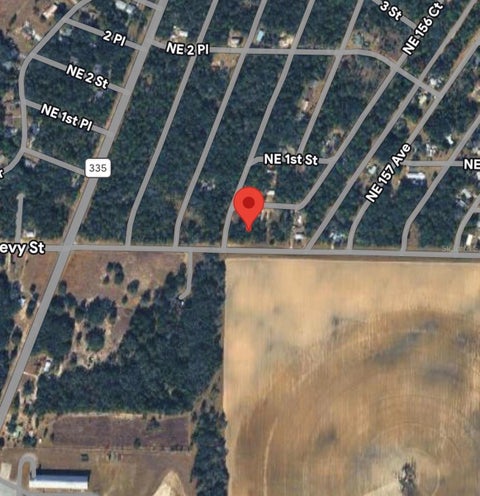 Tiny photo for E Levy Street, Williston, FL 32696 (MLS # A4711368)
