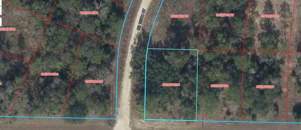 Photo of E Levy Street, Williston, FL 32696 (MLS # A4711368)