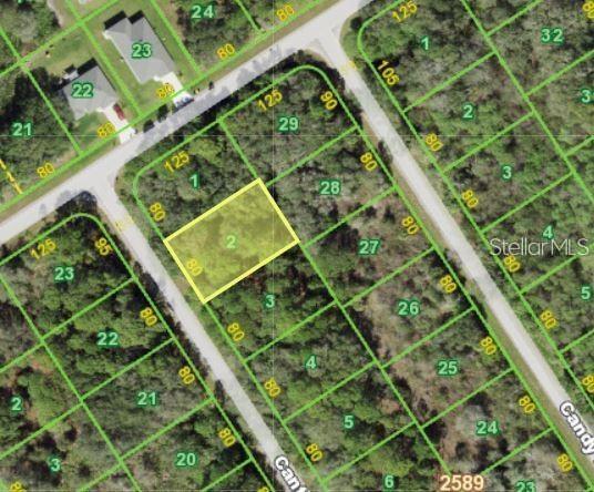 PRIME LOCATION! Growth is expanding toward this area of Port Charlotte which makes this a great investment opportunity. Scrub-jay free. Perfect for your Florida dream home. Near 776 and Biscayne.