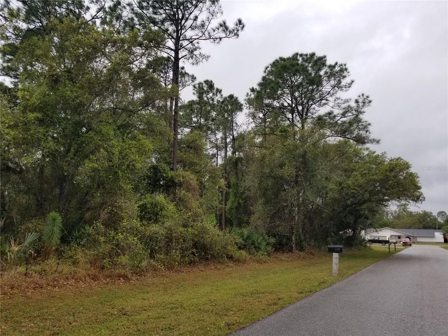 Rare opportunity to own TWO ADJACENT BUILDABLE LOTS in Port Charlotte neighborhood!
Addresses:
• 21239 Wynyard Ave
• 21247 Wynyard Ave

Features:
• Double lot offering approximately 20,000 sq ft of space
• City/Public Water Available
• Flood Zone X
• No Scrub Jay 
• No HOA
• No Deed Restrictions
• Great location for a custom home with extra garage, RV, or boat space

Enjoy the peaceful residential setting while being just minutes from:
• BJ’s Wholesale Club
• Home Depot
• Publix
• Restaurants & shopping
• Murdock area conveniences
• Veterans Blvd
• I-75 access

Excellent opportunity for builders, investors, or anyone looking to build in one of Port Charlotte’s growing areas.