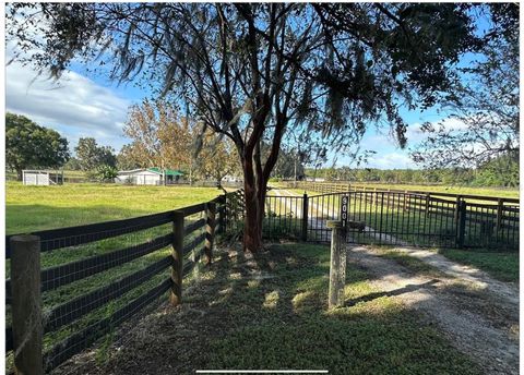 Tiny photo for 9001 W Highway 316, Reddick, FL 32686 (MLS # OM713308)