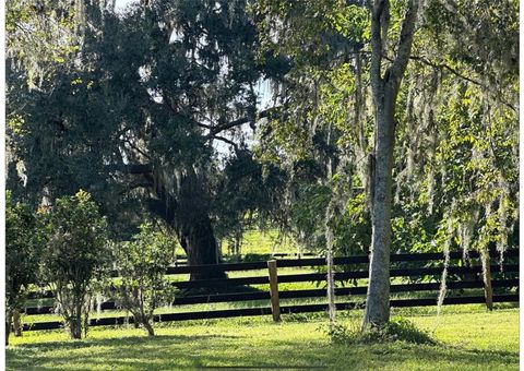 Tiny photo for 9001 W Highway 316, Reddick, FL 32686 (MLS # OM713308)