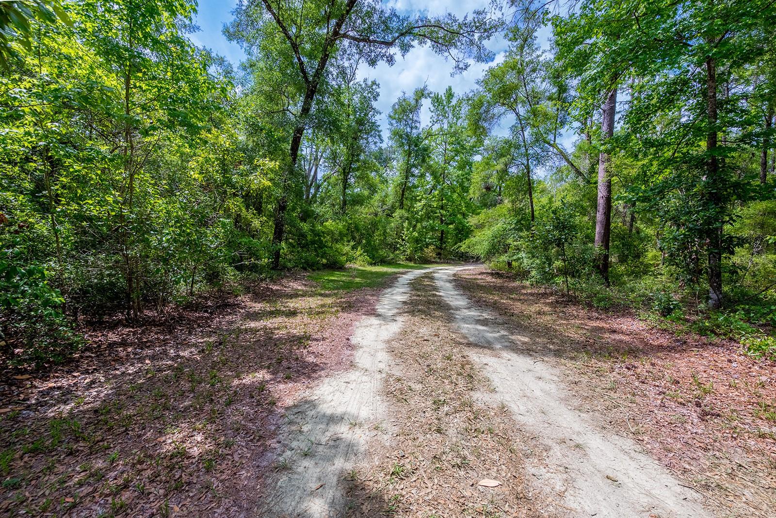 NOT IN SUBDIVISION - Residential