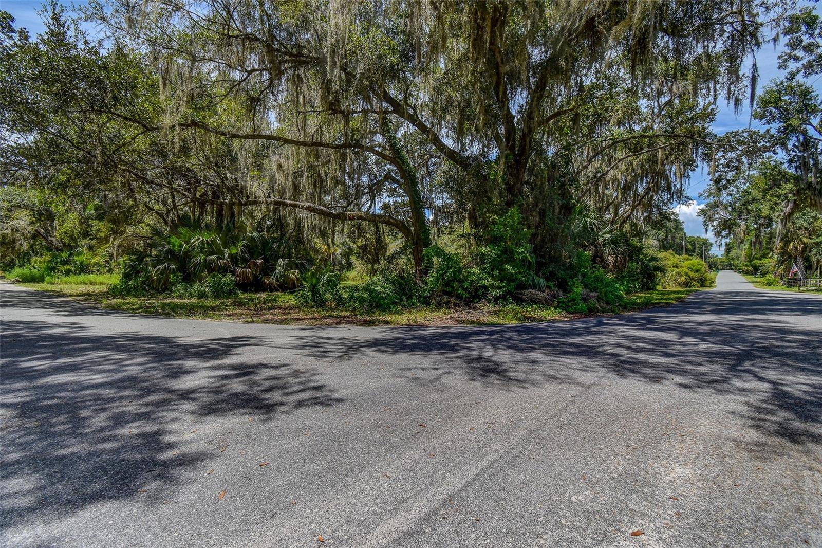 BASS LAKE UNREC SUB - Land