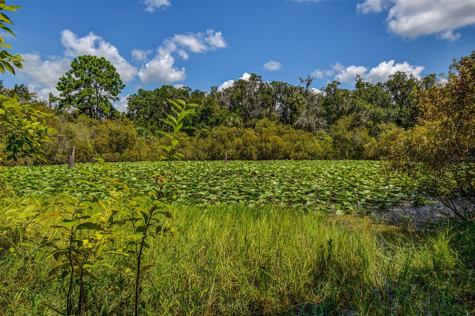 BASS LAKE UNREC SUB - Land