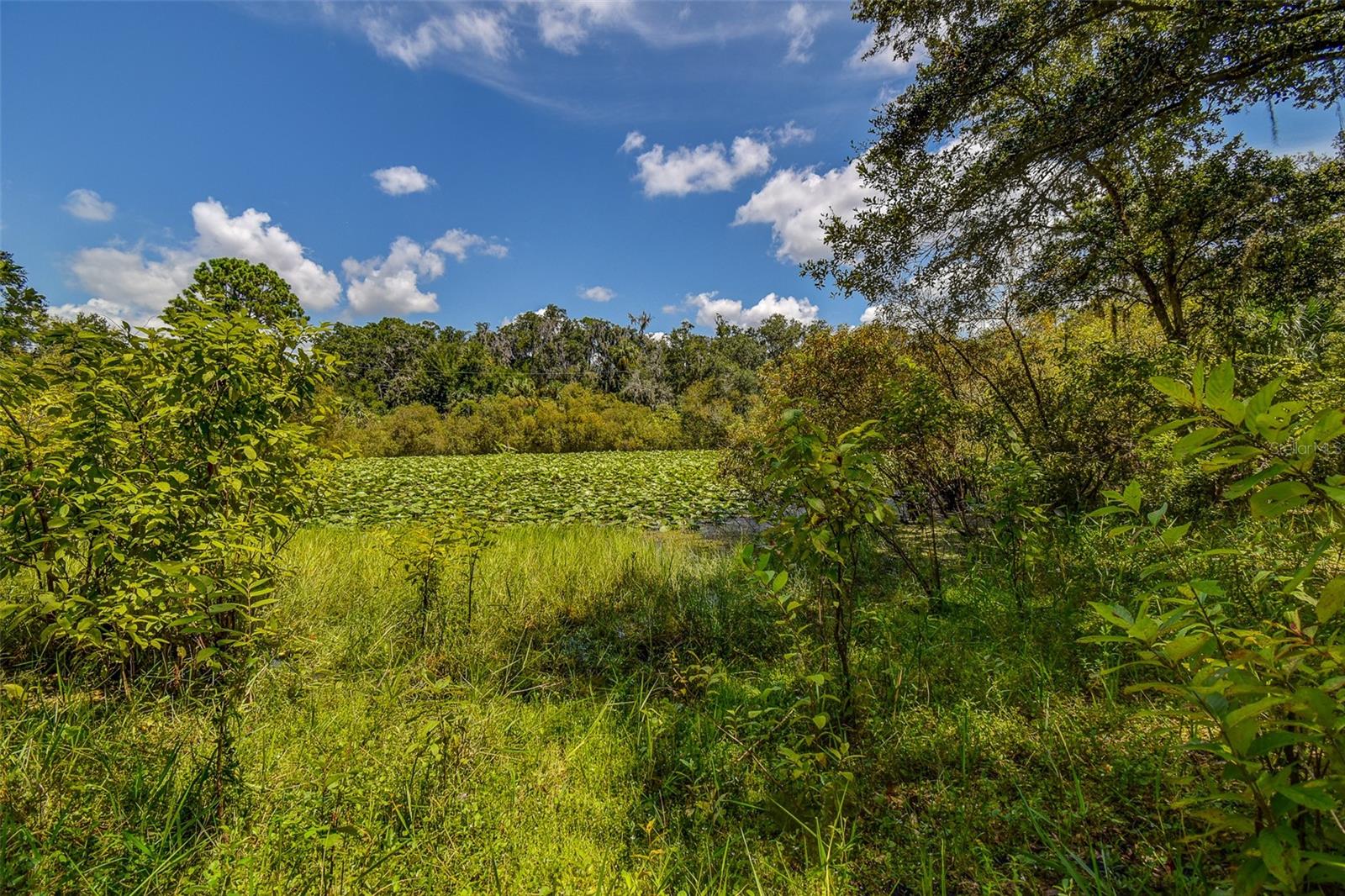 BASS LAKE UNREC SUB - Land
