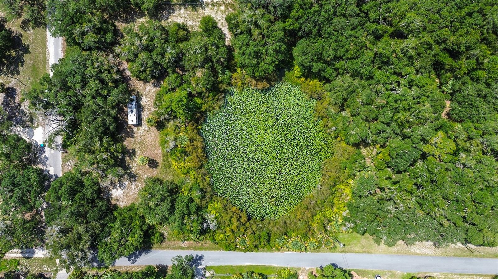 8601 W BASS LAKE ROAD 12