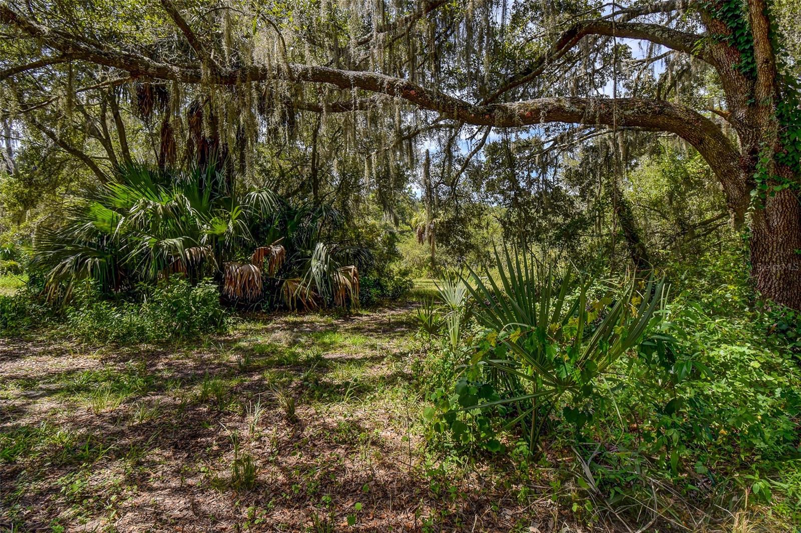 BASS LAKE UNREC SUB - Land