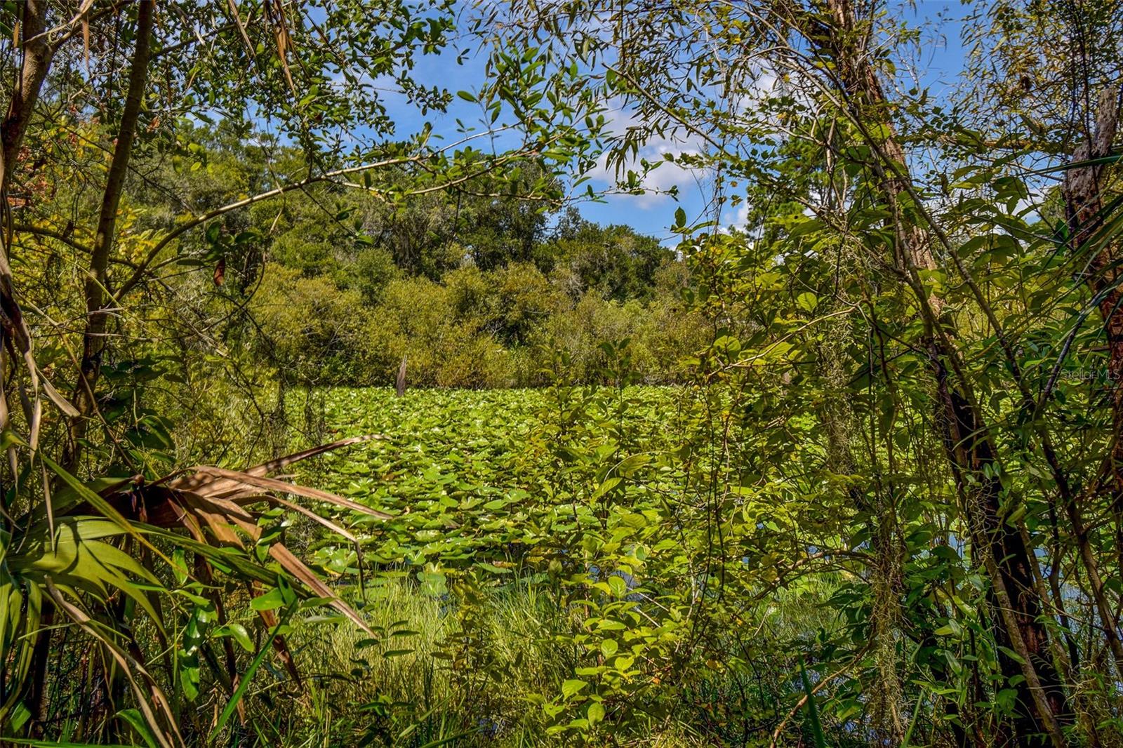 BASS LAKE UNREC SUB - Land