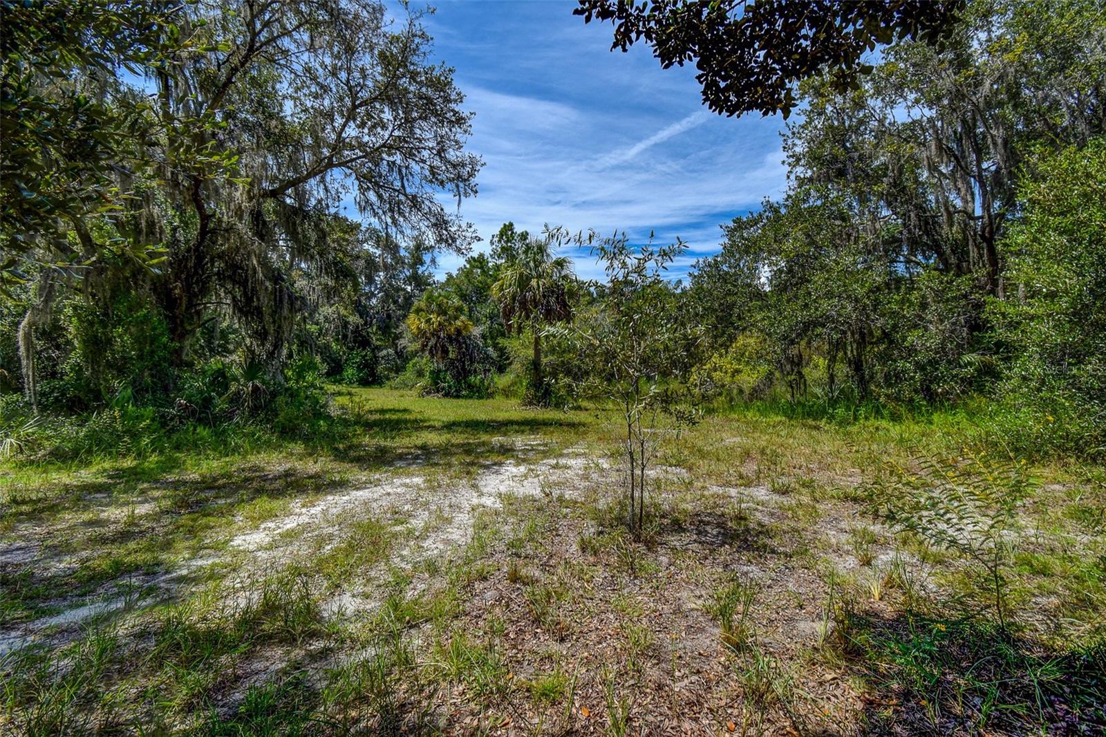 BASS LAKE UNREC SUB - Land