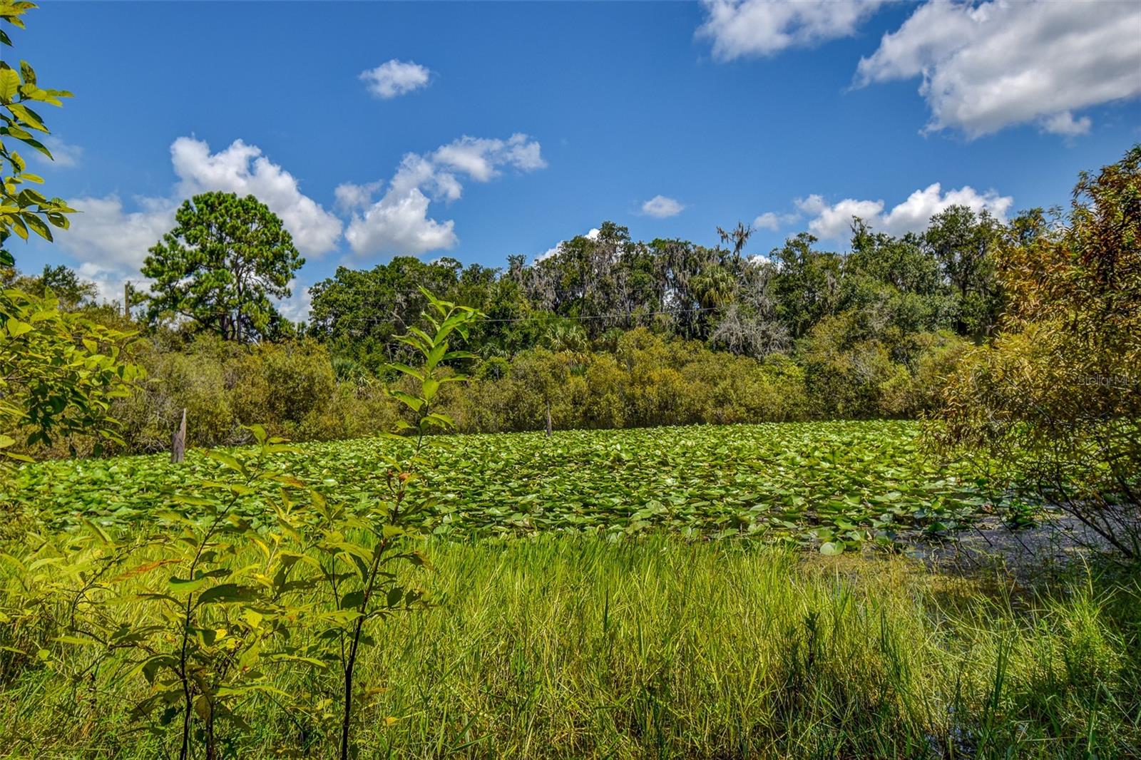 BASS LAKE UNREC SUB - Land