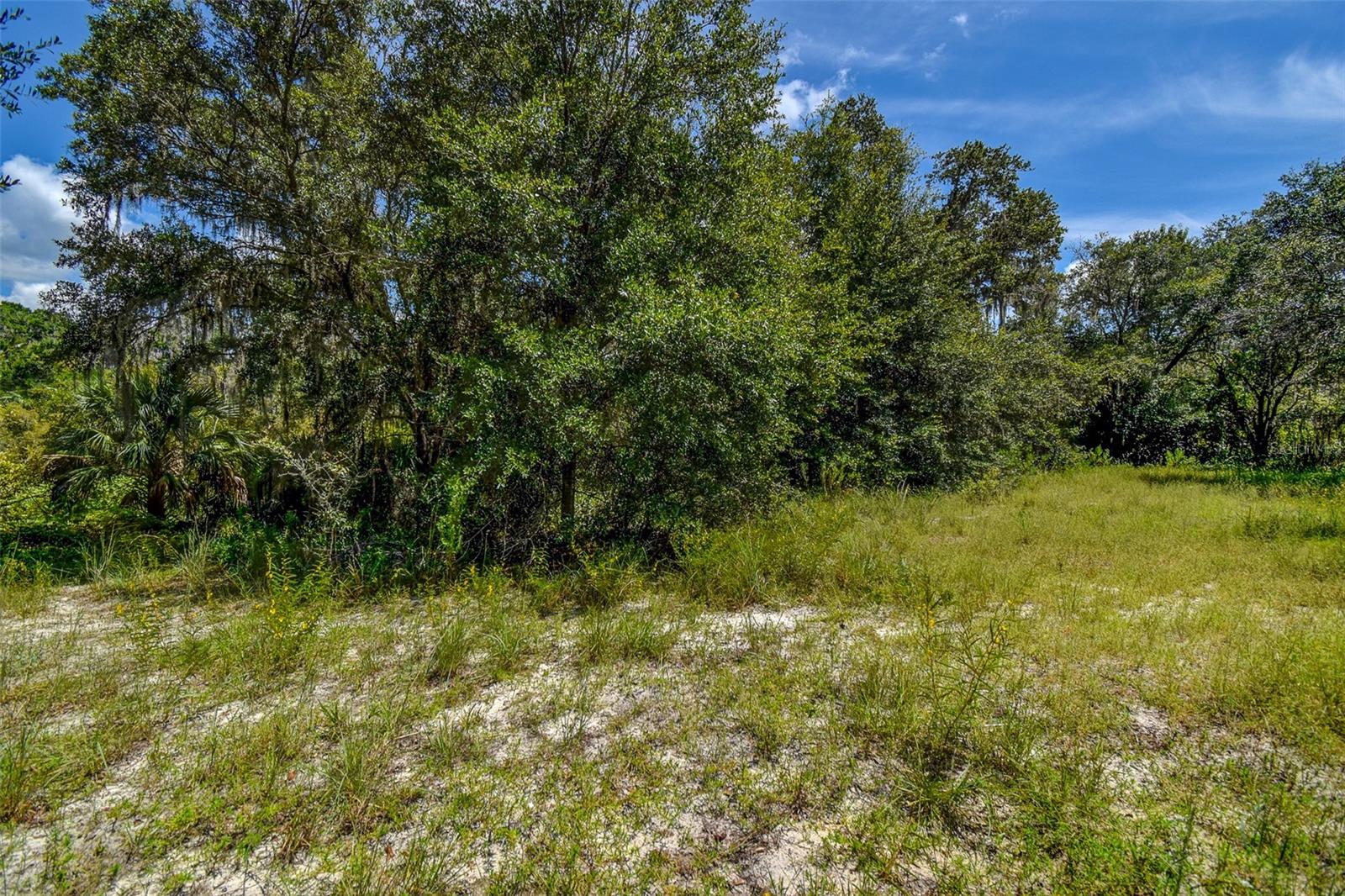 BASS LAKE UNREC SUB - Land