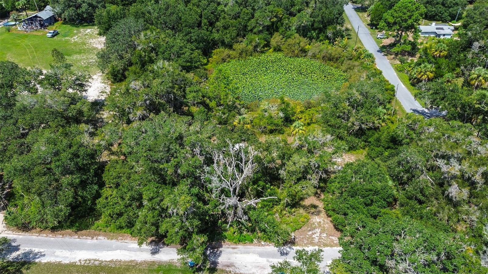 Welcome to your own private canvas for dream living — 2.01 acres of prime Florida land where serenity meets opportunity, tucked away at 8601 W Bass Lake Rd, Lot #12. This isn’t just a piece of land — this is a lifestyle waiting to be built.
Imagine waking up each morning to golden sunlight dancing across your property, the soft rustle of trees framing your view, and the tranquil invitation of nearby Lake Rousseau — yes, you have *access* to it. Whether it's casting off from the private boat ramp or launching your kayak for a quiet sunrise paddle, the water is always within reach. And while you’re not directly on the shoreline, you’ll feel the allure of lake life in every breeze.
This expansive, buildable corner lot is the kind of space where your imagination can truly take root. With over 87,000 square feet of cleared opportunity, it’s already primed with paved road frontage and nestled in a peaceful area surrounded by residential properties — giving you the perfect blend of privacy and community. Whether your dream is a modern farmhouse, a luxury retreat, or an off-the-grid escape, this land gives you the freedom to create it all, without the restrictions of an HOA breathing down your neck.
And let’s talk about the possibilities — because this property is zoned CLR, meaning flexibility is on your side. Horse lovers, future farmers, or outdoor enthusiasts — your vision is welcome here. You’ll need a well and septic, but utilities like electricity and high-speed internet are already nearby, just waiting to be connected. It’s like nature gave you the gift of space, and infrastructure gave you the green light.
It’s not just the land. It’s the setup. This lot already features a wood dock — a rare find at this price point. At 20 feet long, it’s perfect for launching your fishing boat or simply soaking in golden-hour vibes as the sun dips below the treeline. There’s something magical about having your own dock — like your front-row seat to every Florida sunset.
And while you’re worlds away from the chaos, access is a breeze. You’re on a publicly maintained road, tucked into a quiet corner, yet still close enough for supply runs and evening dinners out. The best of both worlds — tranquility with convenience.
This isn’t about square footage — this is about *scope*. About dreaming bigger, living slower, and building smarter. Whether you’re ready to develop now or secure a slice of peace for the future, this 2-acre gem puts you in the driver’s seat of what comes next.
This is more than land. This is freedom. Flexibility. And the start of something extraordinary.
Let’s make it yours.