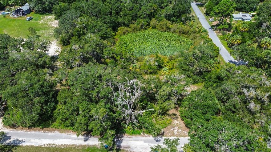 Welcome to your own private canvas for dream living — 2.01 acres of prime Florida land where serenity meets opportunity, tucked away at 8601 W Bass Lake Rd, Lot #12. This isn’t just a piece of land — this is a lifestyle waiting to be built.

Imagine waking up each morning to golden sunlight dancing across your property, the soft rustle of trees framing your view, and the tranquil invitation of nearby Lake Rousseau — yes, you have *access* to it. Whether it's casting off from the private boat ramp or launching your kayak for a quiet sunrise paddle, the water is always within reach. And while you’re not directly on the shoreline, you’ll feel the allure of lake life in every breeze.

This expansive, buildable corner lot is the kind of space where your imagination can truly take root. With over 87,000 square feet of cleared opportunity, it’s already primed with paved road frontage and nestled in a peaceful area surrounded by residential properties — giving you the perfect blend of privacy and community. Whether your dream is a modern farmhouse, a luxury retreat, or an off-the-grid escape, this land gives you the freedom to create it all, without the restrictions of an HOA breathing down your neck.

And let’s talk about the possibilities — because this property is zoned CLR, meaning flexibility is on your side. Horse lovers, future farmers, or outdoor enthusiasts — your vision is welcome here. You’ll need a well and septic, but utilities like electricity and high-speed internet are already nearby, just waiting to be connected. It’s like nature gave you the gift of space, and infrastructure gave you the green light.

It’s not just the land. It’s the setup. This lot already features a wood dock — a rare find at this price point. At 20 feet long, it’s perfect for launching your fishing boat or simply soaking in golden-hour vibes as the sun dips below the treeline. There’s something magical about having your own dock — like your front-row seat to every Florida sunset.

And while you’re worlds away from the chaos, access is a breeze. You’re on a publicly maintained road, tucked into a quiet corner, yet still close enough for supply runs and evening dinners out. The best of both worlds — tranquility with convenience.

This isn’t about square footage — this is about *scope*. About dreaming bigger, living slower, and building smarter. Whether you’re ready to develop now or secure a slice of peace for the future, this 2-acre gem puts you in the driver’s seat of what comes next.

This is more than land. This is freedom. Flexibility. And the start of something extraordinary.

Let’s make it yours.